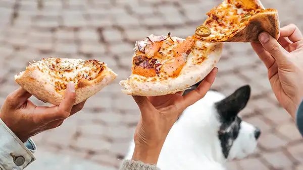 Hyvää ja herkullista Fizzan äärellä
