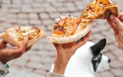 Hyvää ja herkullista Fizzan äärellä